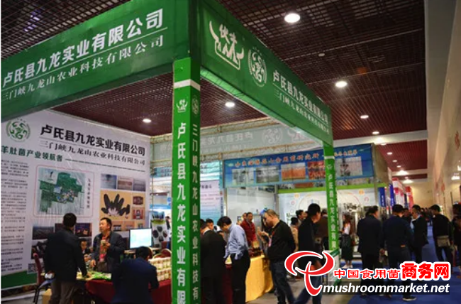 河南九龙农业科技有限公司将特装亮相2020中国（三门峡）食用菌新产品新技术博览会