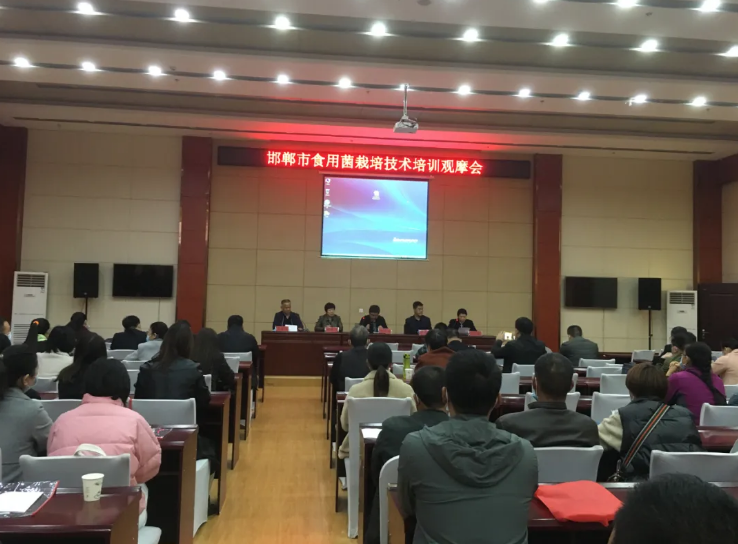 河北邯鄲市食用菌栽培技術培訓觀摩會順利舉行