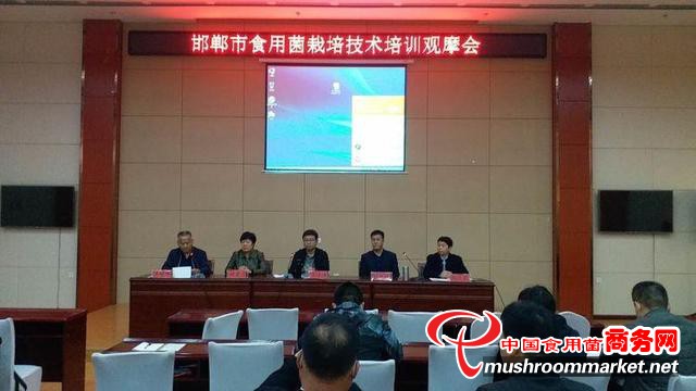 河北省邯郸市食用菌栽培技术培训观摩会在磁县顺利召开