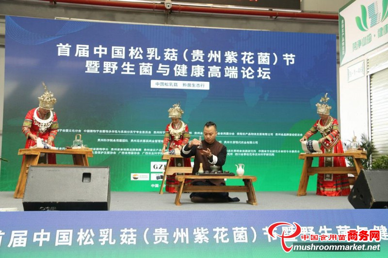 首屆中國松乳菇節在貴州省修文縣舉行