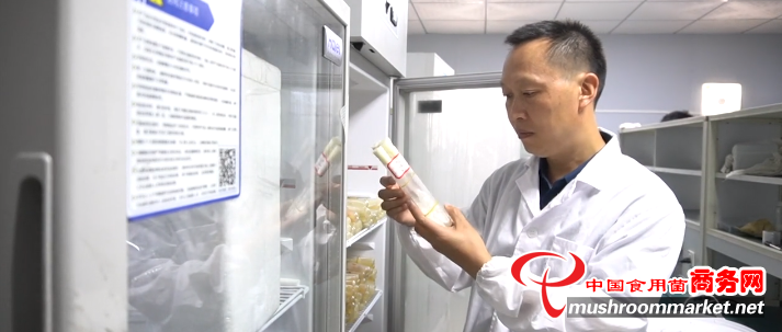 “哪里有难题，哪里就是我的实验室” ——记贵州大学农学院徐彦军教授