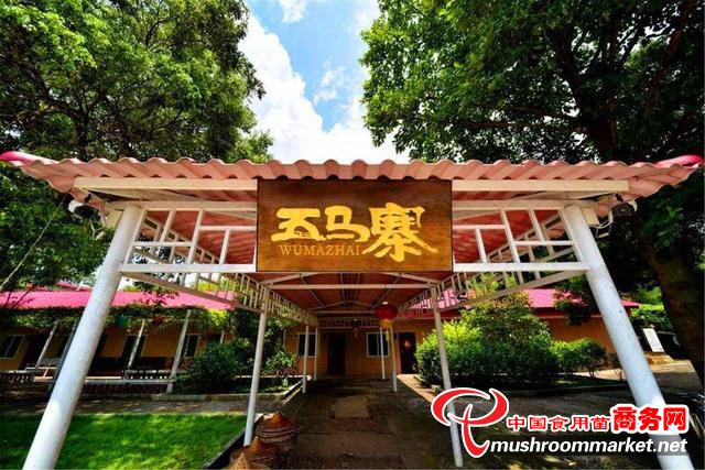 广东“食用菌”主题乐园 沉淀着浓厚的灵芝文化