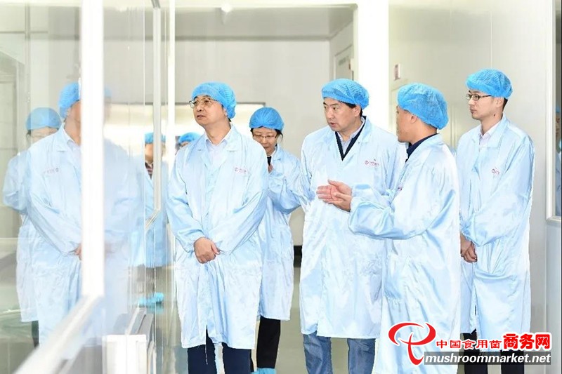 上海市农业科学院食用菌研究所所长张劲松赴福建仙芝楼生物科技有限公司洽谈合作