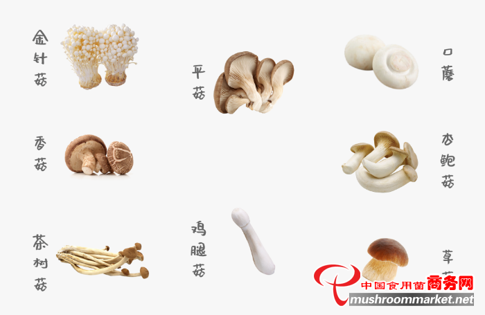 菌菇，食物中的优等生