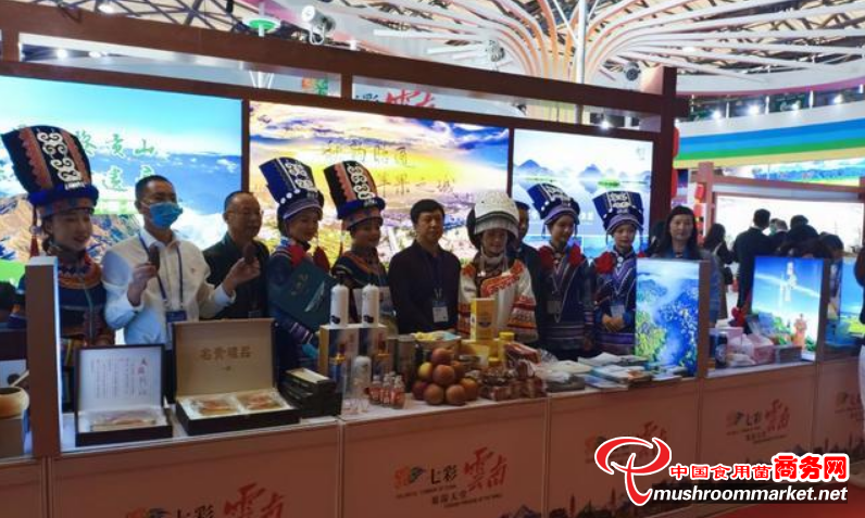 小草壩天麻成中國國際旅交會“新寵”
