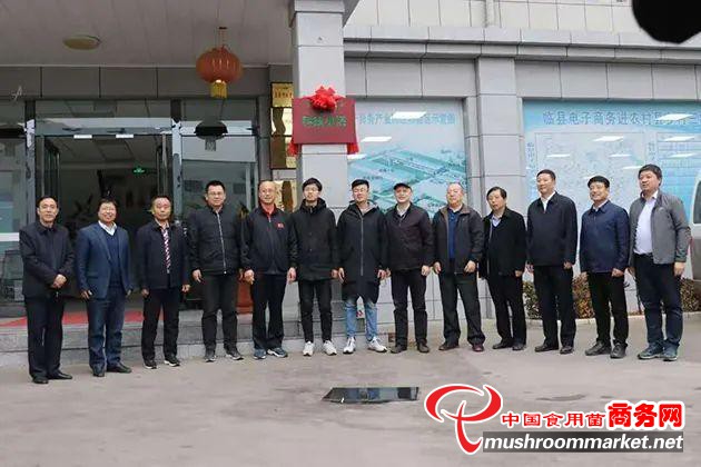 中國農技協山西臨縣食用菌科技小院揭牌成立
