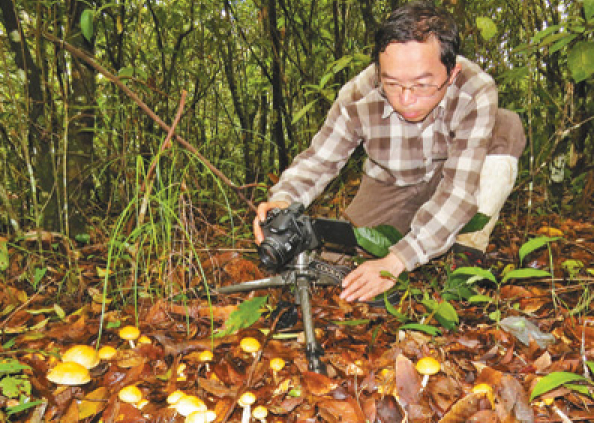 行走在高山峽谷 為大型真菌“親戚”——來(lái)看《人民日?qǐng)?bào)》報(bào)道的這位了不起的“蘑菇先