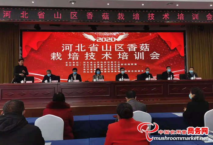 2020年河北省山区香菇栽培技术培训会在阜平县举办