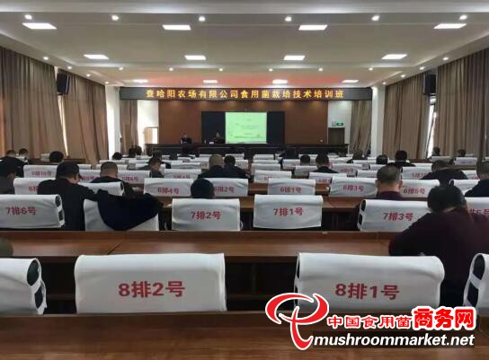 黑龙江垦区查哈阳农场有限公司成功举办食用菌栽培技术培训班