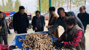 河南西平县组织部领导到宋集镇崔庄村香菇产业扶贫基地调研