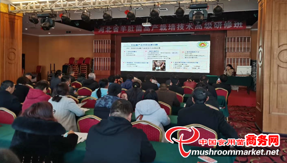 羊肚菌行业知名专家朱斗锡教授到迁西县指导羊肚菌产业发展