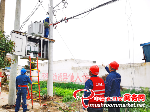 河南内乡县：“满格电”助力香菇种植户脱贫致富