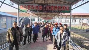 吉林梨樹縣：引進(jìn)“羊肚菌” 走出特色致富路