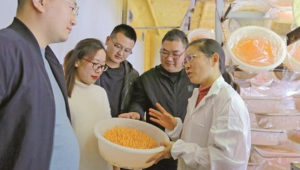 奮楫搏浪正當時 乘風破浪拓新篇——記徐州鴻宇農業科技有限公司副總經理張海燕