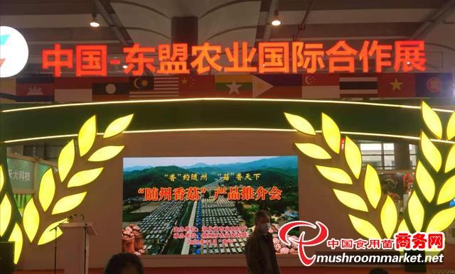 湖北省农业农村厅副厅长王海涛率近10家香菇企业参加第十七届中国-东盟农业国际合作展