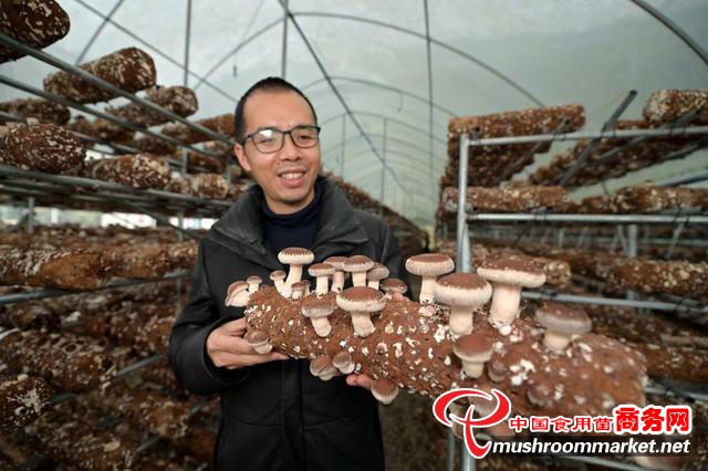 贵州从江县：因地制宜推广食用菌标准化生产 持续带动农业增效、农民增收