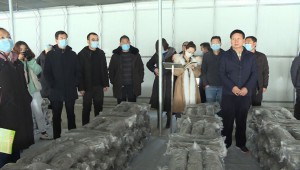 甘肃省食用菌标准化栽培技术培训班在陇西县举办