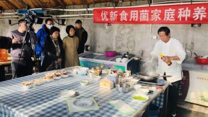 北京通州区多种食用菌供应市场 丰富百姓菜篮子