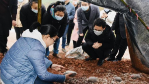 腳下沾滿泥土 心中裝著百姓——記四川詹井村駐村干部羅霞蔚
