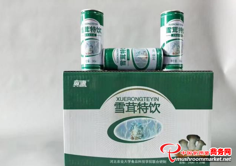 杏鲍菇植物蛋白饮料，您喝过吗？