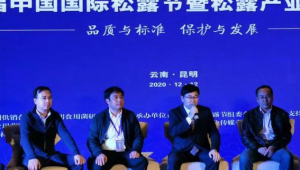 云南松露界簽署保護(hù)公約：每年立冬至次年3月方可采挖