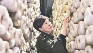 黑龍江省伊春市西林區種木耳重煥青春活力  安置下崗再就業80余人