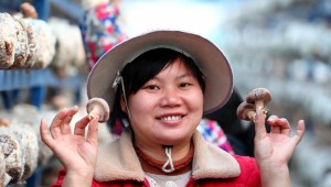 廣西融安縣：“微田園”香菇大棚內，脫貧群眾正在采摘香菇