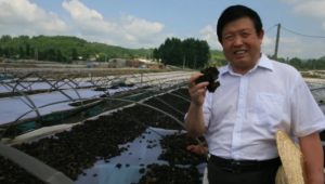 食用菌也能被制成冰激凌？中国工程院院士李玉：已经安排上了！