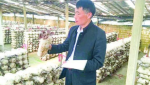 張文平： “土專家”寫出科技助農(nóng)大文章