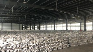 農發行貴州黔西南州分行：800萬元產業扶貧貸款 支持地方發展食用菌產業