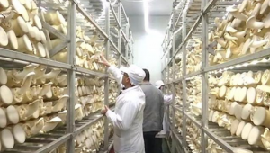 河南世紀香：牛年開門紅 企業復工復產忙