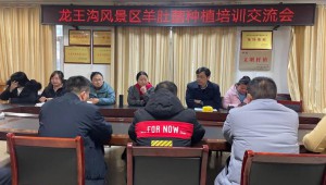 河南省南陽市龍王溝景區大力推廣羊肚菌種植技術 種出好“錢”景