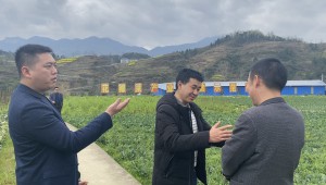 貴州省道真縣農業農村局一行到舊城鎮長壩村開展食用菌園區建設規劃調研座談