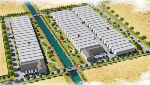 總投資1300余萬元 年產1128噸鮮菇！浙江臺州市“愛爾蘭新型菇棚項目”將于4月開工建設