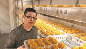云南農業大學食用菌研究所原所長李榮春—— 培育云南“金色產業”