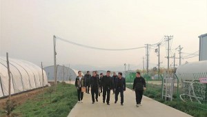 河南省平頂山市驗收組前往汝州市對食用菌企業“雙改”項目進行驗收