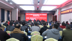 貴州省黔西南州食用菌產業干部培訓開班儀式在貞豐縣順利舉行