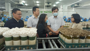 廣東省發展改革委等領導一行前往星河生物科技公司進行考察調研