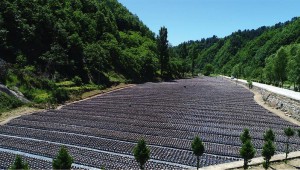 2021年第五屆柞水木耳文化節在商洛市柞水縣小嶺鎮金米村盛大開幕