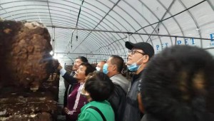山東省淄博市淄川區成功舉辦農民專項食用菌技術培訓班