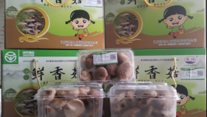 江苏鸿程食用菌公司“苏福牌”香菇在江苏“好鲜菇”品鉴推介活动中荣获金奖