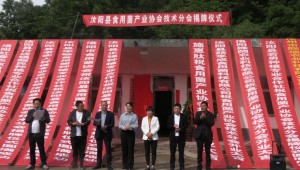 河南省汝阳县十八盘乡顺利举行食用菌产业协会技术分会揭牌仪式