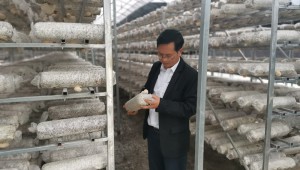 贵州省三穗县气象局开展猴头菇生产气象服务调研