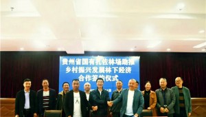 貴州省國有扎佐林場積極推動食用菌養殖 助推鄉村振興