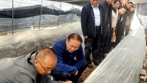 甘肅省卓尼縣領導調研指導木耳鎮產業發展 全力打造精品文旅產業