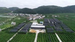贵州省三都县鲜香菇通过广州海关严苛农残检测 68项指标全部合格