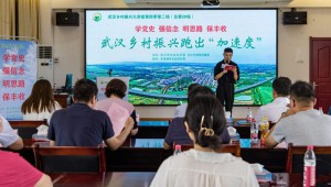 小木耳成就大產(chǎn)業(yè) 湖北省武漢市鄉(xiāng)村振興跑出“加速度”