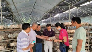 湖北省随州市农业农村局食用菌菌种规范化生产培训班成功举办