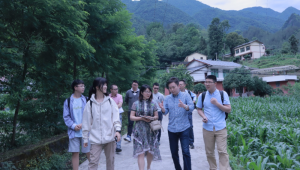 重慶市高校團隊實地調研助力鄉村振興 為城口食用菌出山“痛點”找方法