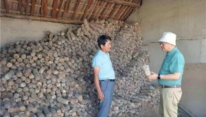 安徽农业大学园艺学院陶鸿教授前往宣城市开展香菇生产技术指导工作